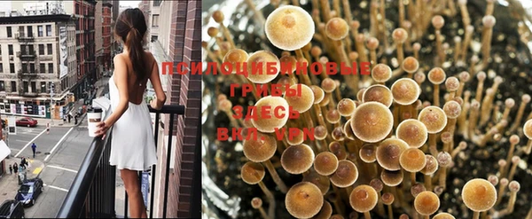 jwh Иннополис