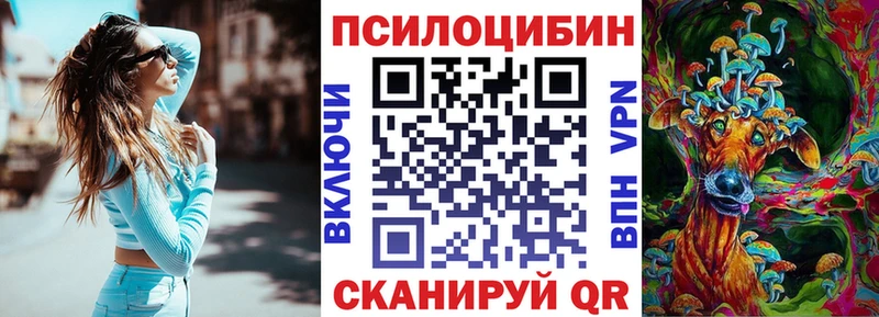 Галлюциногенные грибы Psilocybine cubensis  Купить  Ейск 